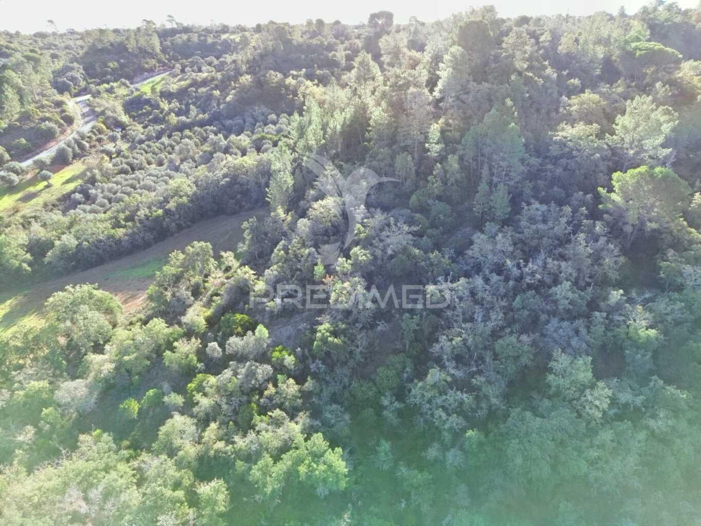Terreno rústico de 18.360 m² em arneiro das milhariças