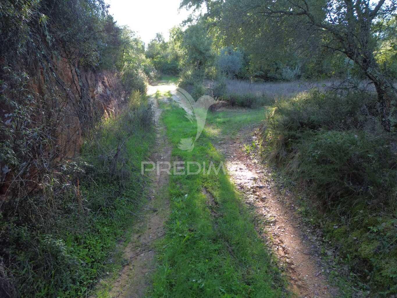Terreno rústico de 18.360 m² em arneiro das milhariças
