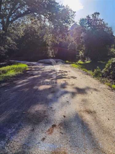 Terreno rústico de 18.360 m² em arneiro das milhariças
