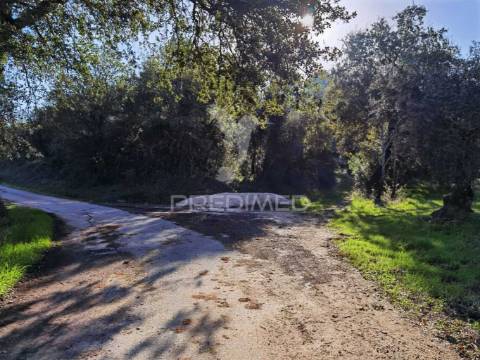 Terreno rústico de 18.360 m² em arneiro das milhariças
