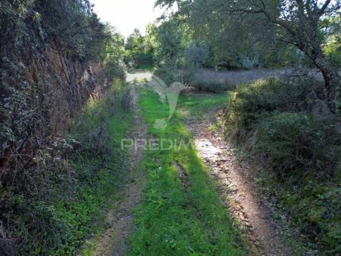 Terreno rústico de 18.360 m² em arneiro das milhariças