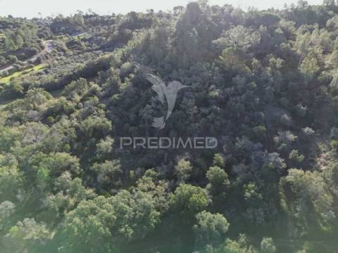 Terreno rústico de 18.360 m² em arneiro das milhariças