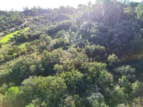 Terreno rústico de 18.360 m² em arneiro das milhariças