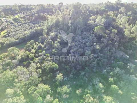 Terreno rústico de 18.360 m² em arneiro das milhariças