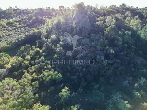 Terreno rústico de 18.360 m² em arneiro das milhariças
