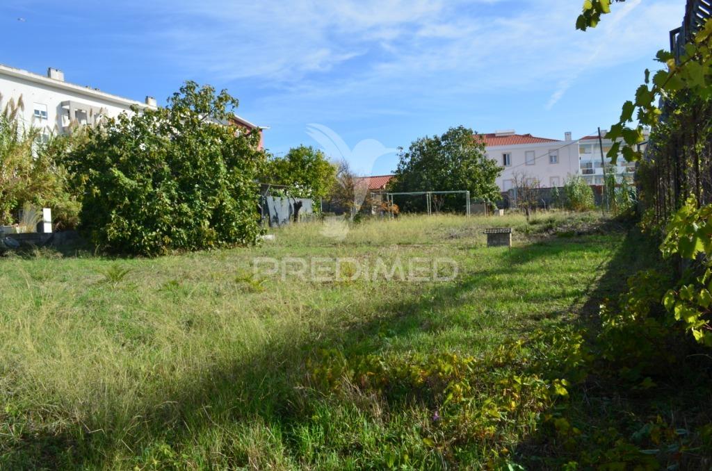 Lote de terreno na ajuda