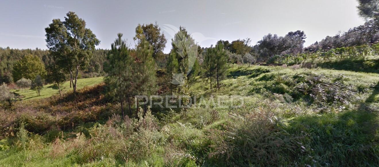 Terreno na fonte fria