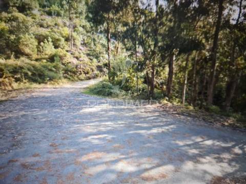 Terreno na fonte fria