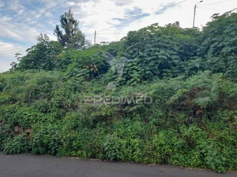 Terreno rústico 2470m2 em gaula