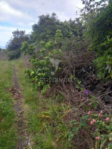 Terreno urbanizável no porto martins