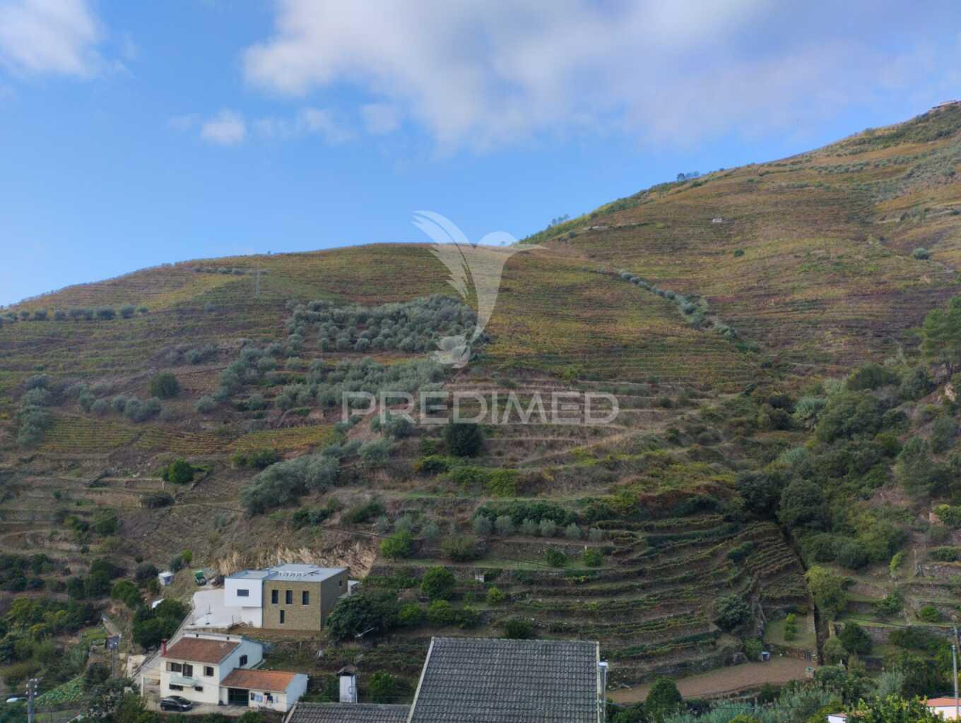 Terreno misto