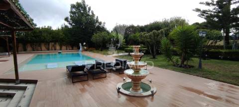 Quinta com moradia t3 terrugem com piscina + terreno rústico