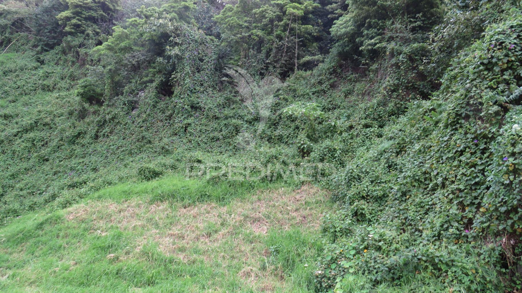 Terreno  com 2.387m2 no estreito de câmara de lobos