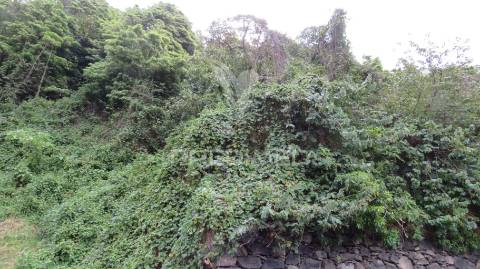 Terreno  com 2.387m2 no estreito de câmara de lobos