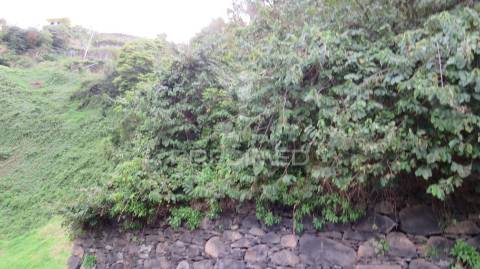 Terreno  com 2.387m2 no estreito de câmara de lobos