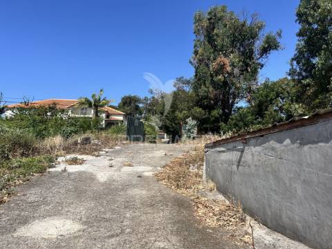 Terreno com 13.300m² em santa cruz – vistas panorâmicas de mar e serra
