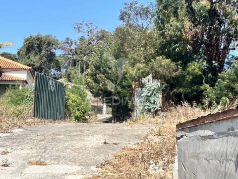 Terreno com 13.300m² em santa cruz – vistas panorâmicas de mar e serra