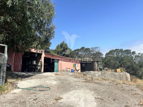 Terreno com 13.300m² em santa cruz – vistas panorâmicas de mar e serra