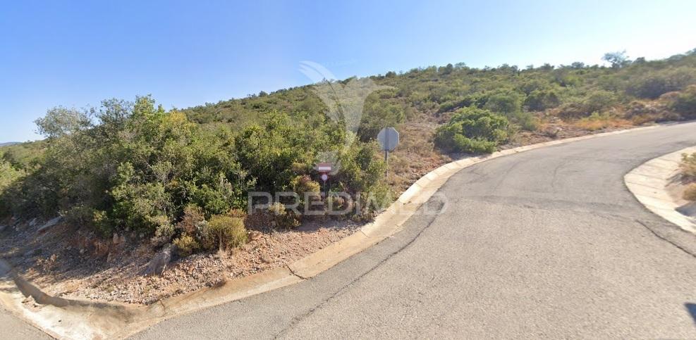Terreno rustico em loulé com 1ha e acesso directo da estrada