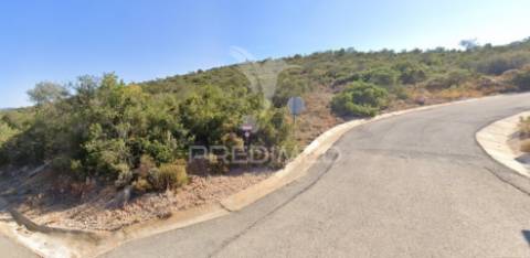 Terreno rustico em loulé com 1ha e acesso directo da estrada