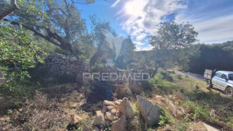 Terreno rustico em loulé com 1ha e acesso directo da estrada