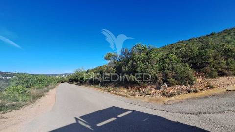 Terreno rustico em loulé com 1ha e acesso directo da estrada