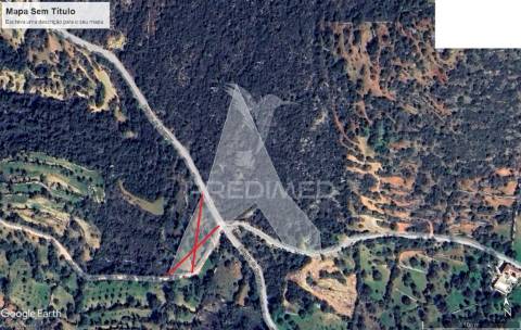 Terreno rustico em loulé com 1ha e acesso directo da estrada