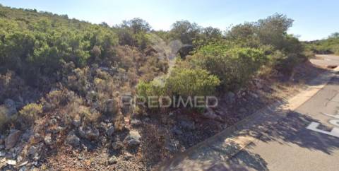 Terreno rustico em loulé com 1ha e acesso directo da estrada
