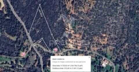 Terreno rustico em loulé com 1ha e acesso directo da estrada