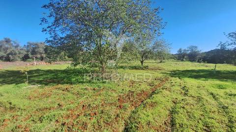 Terreno rustico em loulé próximo da fábrica da cimpor