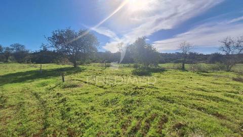 Terreno rustico em loulé próximo da fábrica da cimpor