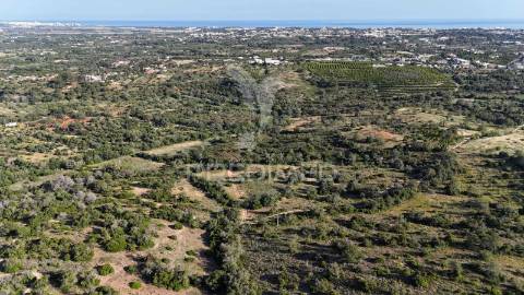 Ruina inserida em terreno com 4,65 hectares com vista para o mar
