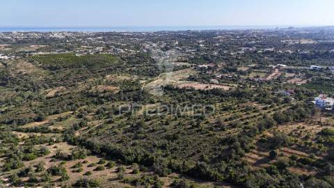 Ruina inserida em terreno com 4,65 hectares com vista para o mar