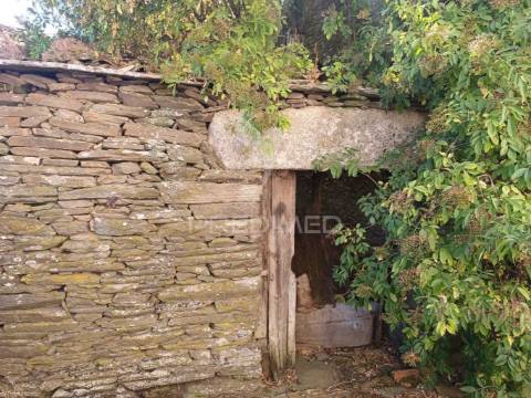 Moradia  em ruínas, em barcos , tabuaço