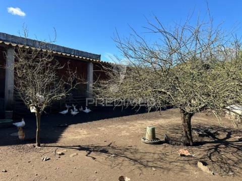 Terreno em arrouquelas, rio maior