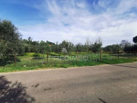 Lote de terreno urbano