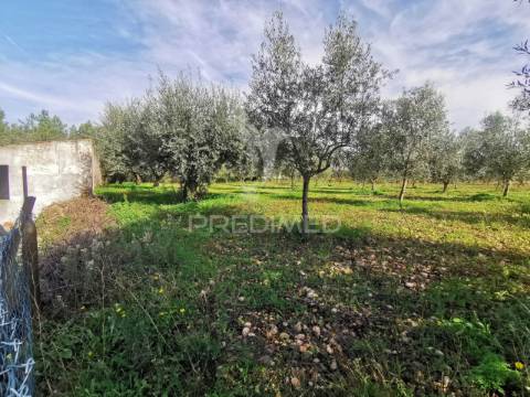 Lote de terreno urbano