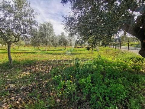 Lote de terreno urbano