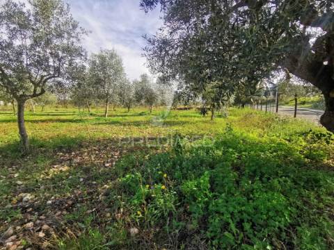 Lote de terreno urbano