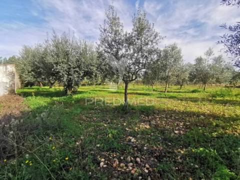 Lote de terreno urbano