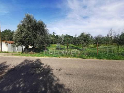 Lote de terreno urbano