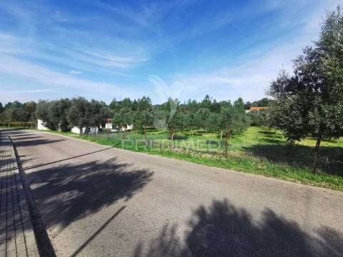 Lote de terreno urbano