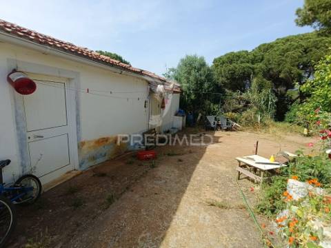 Quintinha típica alentejana com privacidade  – santiago do cacém