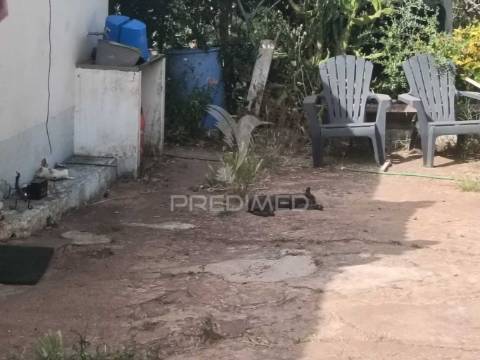 Quintinha típica alentejana com privacidade  – santiago do cacém