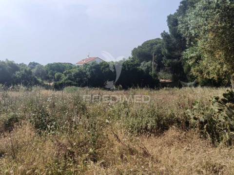 Quintinha típica alentejana com privacidade  – santiago do cacém