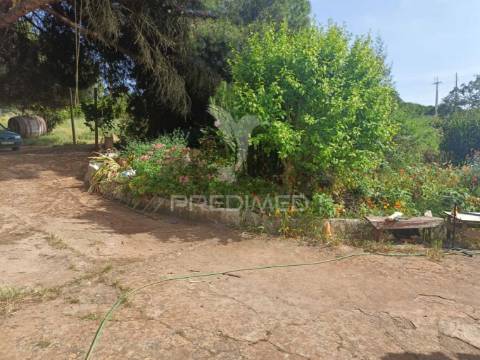 Quintinha típica alentejana com privacidade  – santiago do cacém