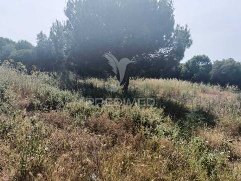 Quintinha típica alentejana com privacidade  – santiago do cacém