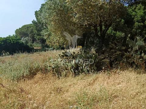 Quintinha típica alentejana com privacidade  – santiago do cacém