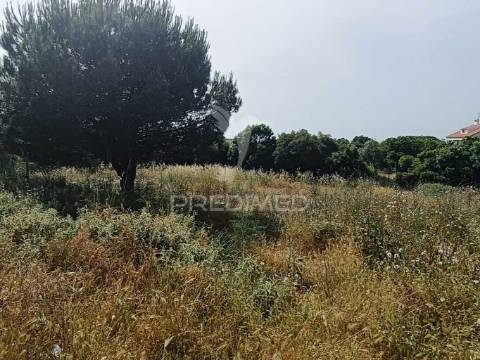 Quintinha típica alentejana com privacidade  – santiago do cacém