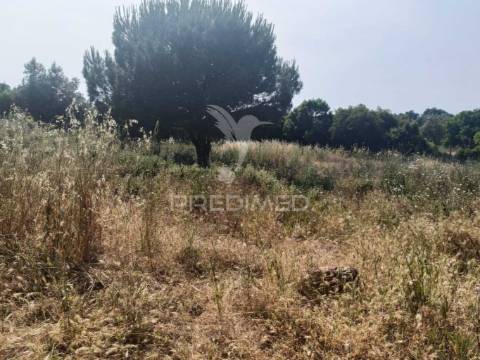 Quintinha típica alentejana com privacidade  – santiago do cacém